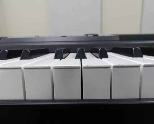 Korg - XE20 2
